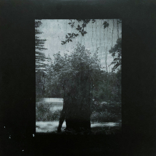 Grouper : Ruins (LP, Album)