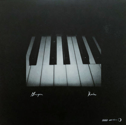 Grouper : Ruins (LP, Album)