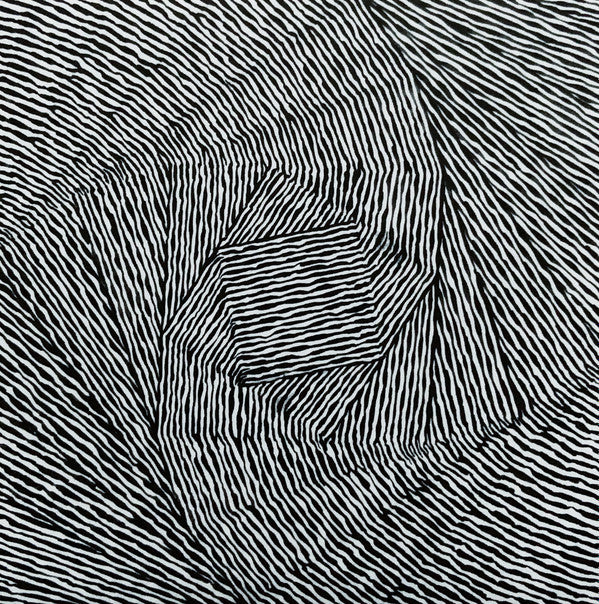 Grouper : Ruins (LP, Album)