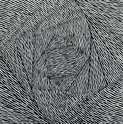 Grouper : Ruins (LP, Album)