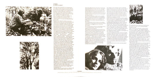 Van Morrison : Moondance (LP, Album, RE, RP, Gat)