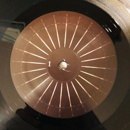 The Sword : Gods Of The Earth (LP, Album)