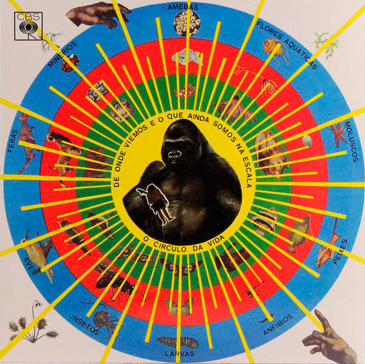 Pedro Santos : Krishnanda (LP, Album, RE)