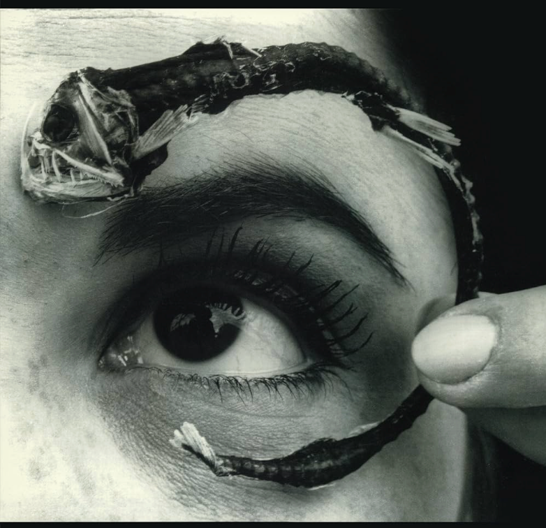 Mr. Bungle – Disco Volante