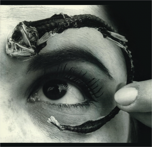 Mr Bungle - Disco Volante (preorder)