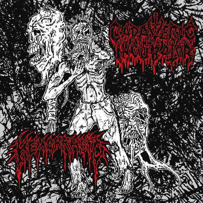 CADAVERIC INCUBATOR / HEMORRHOID split 7"