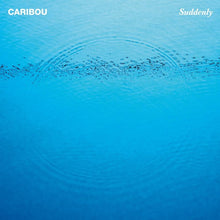 Load image into Gallery viewer, Caribou : Suddenly (LP, Album)