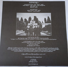 Load image into Gallery viewer, Bedsore : Hypnagogic Hallucinations (LP, Album, Ltd, Roy)