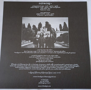 Bedsore : Hypnagogic Hallucinations (LP, Album, Ltd, Roy)