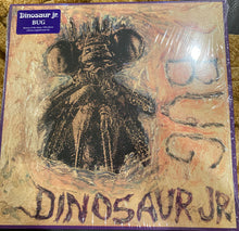 Load image into Gallery viewer, Dinosaur Jr. : Bug (LP)