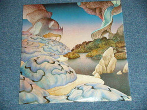 Steve Howe : Beginnings (LP, Album, RE, Gat)