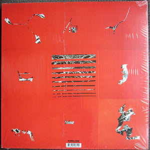 Animal Collective : Hollinndagain (LP, Album, RE)
